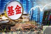 和平基金最新爆料新闻,揭秘重大国际和平项目进展