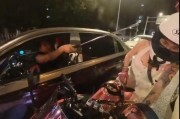 沈阳女骑士爆料视频播放,沈阳女骑士爆料视频引发热议