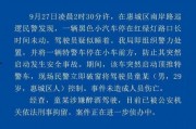 爆料惠州新闻最新,最新爆料揭示城市动态与民生焦点