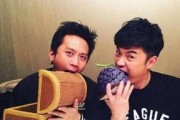 娱乐吃瓜电影全集,揭秘娱乐圈幕后故事，带你领略光影魅力