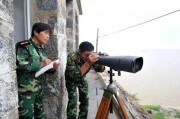 美国民兵爆料视频播放下载,揭秘事件背后真相